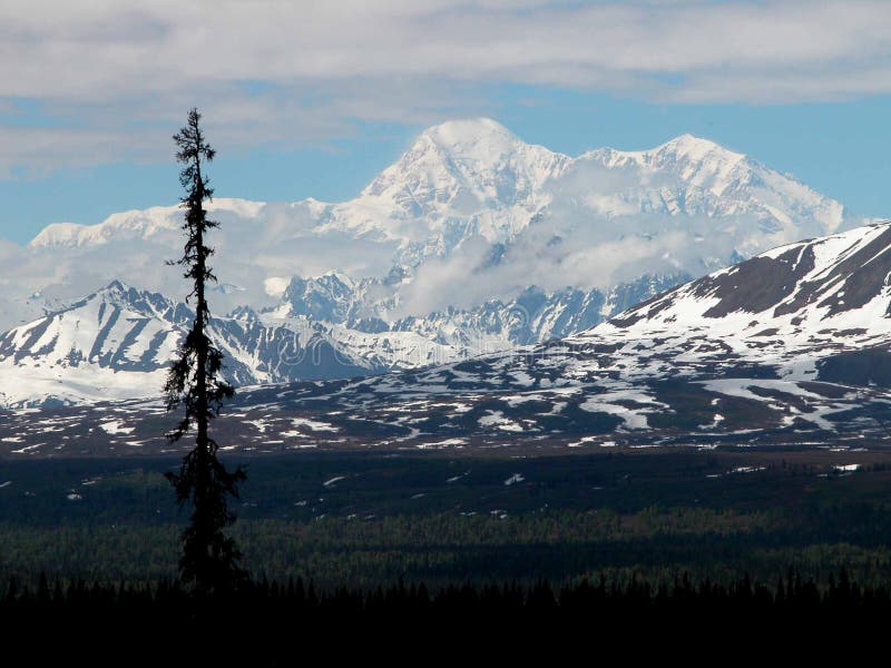 Denali - Alaska stock afbeeldingen Denali - Alaska stock afbeeldingen