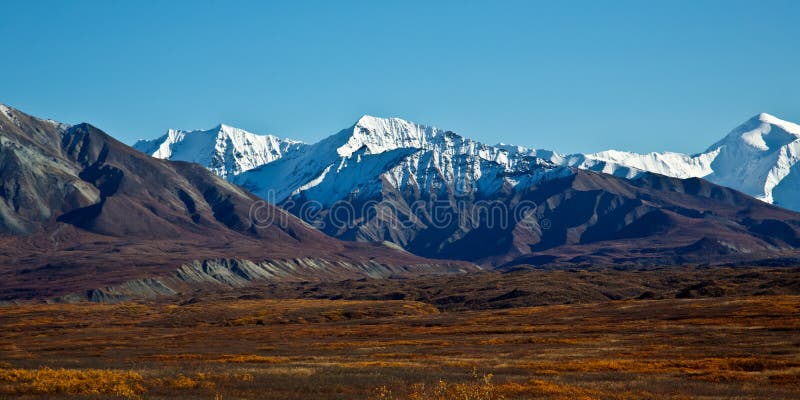 Denali nationalpark i höst arkivbild Denali nationalpark i höst arkivbild