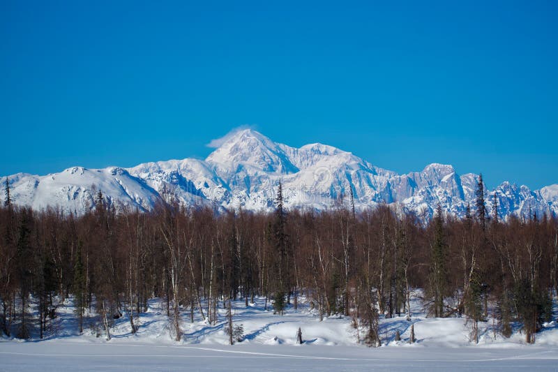 Denali View from Byers Lake Stock Photo Image of cabin, byers 284296896