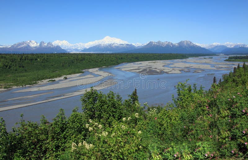 Denali View South stock image. Image of park, peaks, mountains 57102801