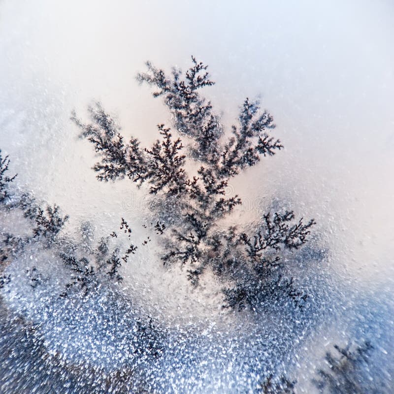 dendrite crystal meaning dendrite crystal meaning