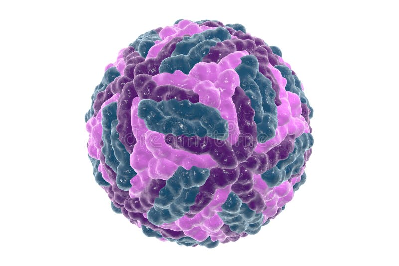 Dengue Stock Illustrations 3 565 Dengue Stock Illustrations Vectors Clipart Dreamstime