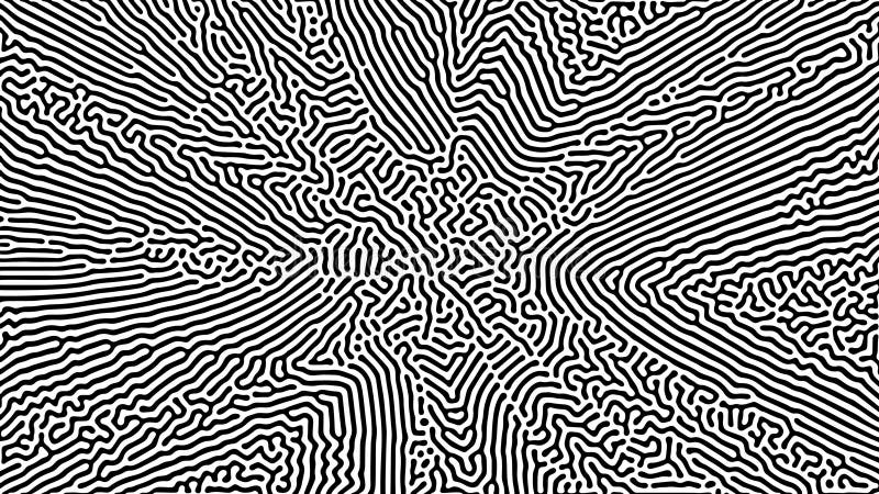 Dense abstract pattern with black flowing lines stock photos