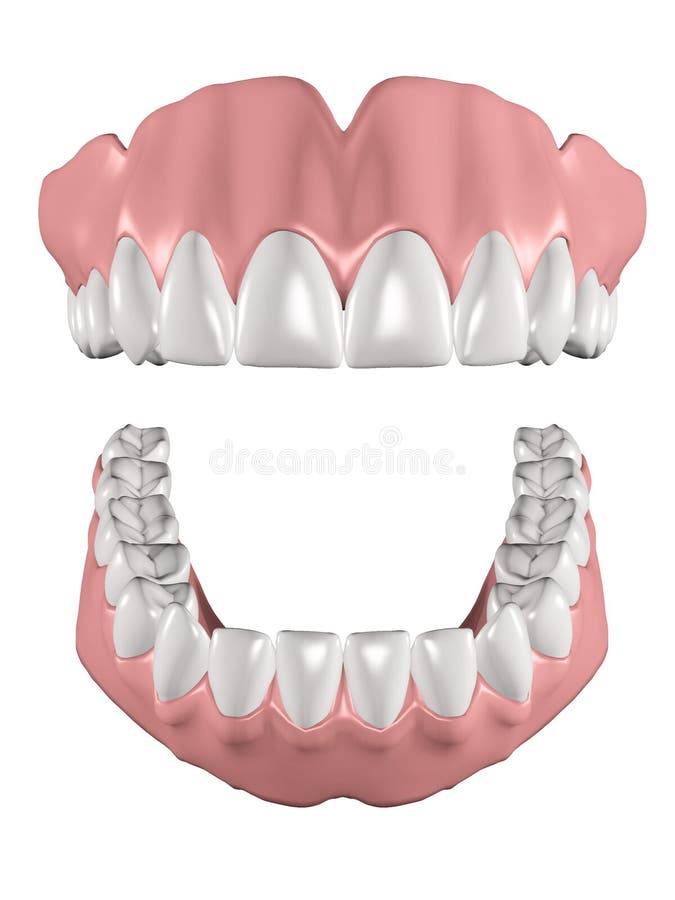 Dentaduras ilustración del vector