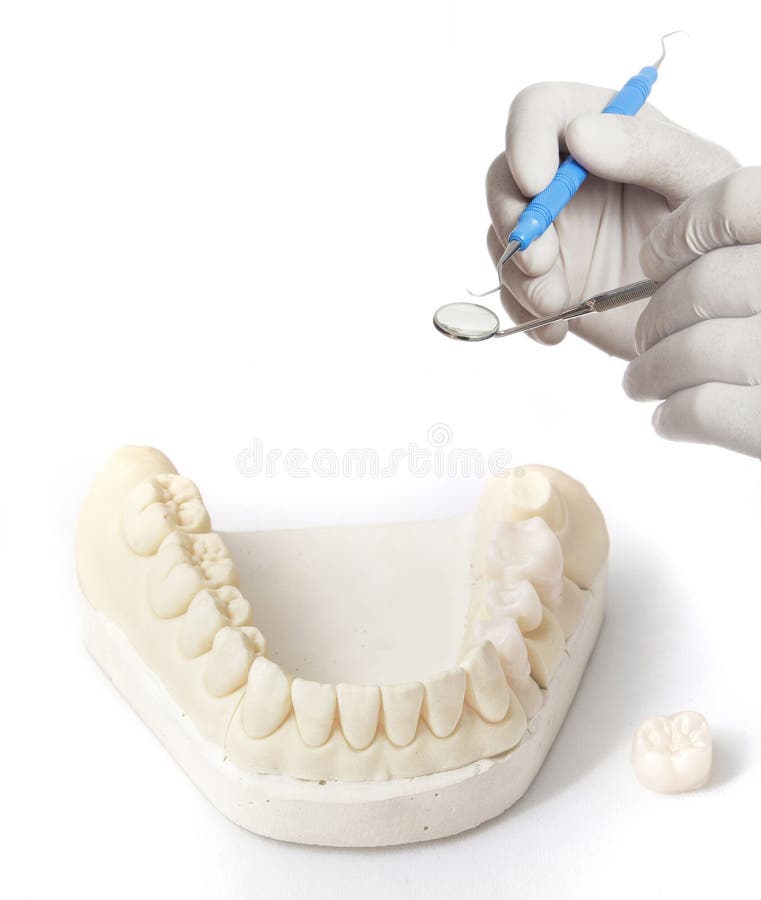 17,006 Crowns Photos Free & RoyaltyFree Stock Photos from Dreamstime