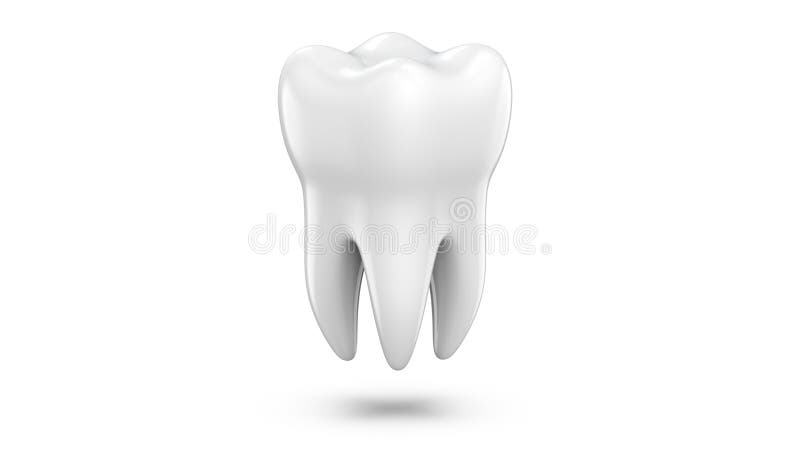 Dental 3d Model Of Premolar Tooth As A Concept Of Dental Examination