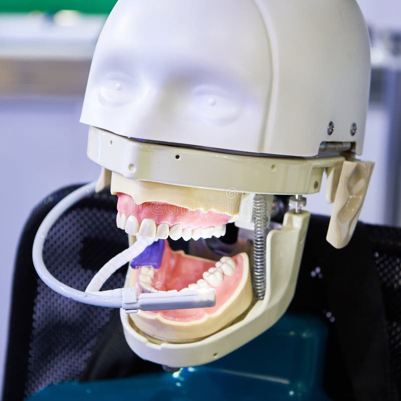 Dental Endoscope and Mannequin Stock Photo Image of instrument, healthcare 231849178