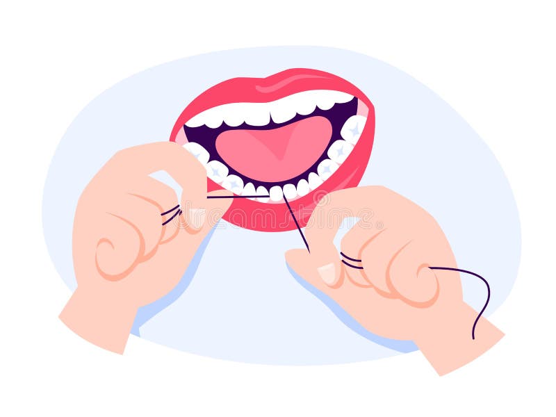Dental Floss. Oral Health Care Concept Stock Vector - Illustration of equipment, fresh: 156003189 Dental Floss. Oral Health Care Concept Stock Vector - Illustration of equipment, fresh: 156003189