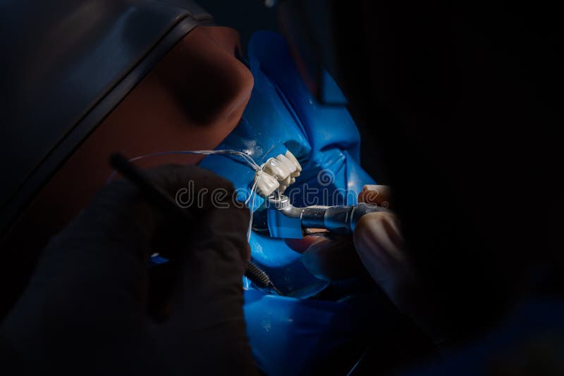 Dental Mannequins Phantom Head Model Simulation Training, Dental Model, Dental Training. Phantom