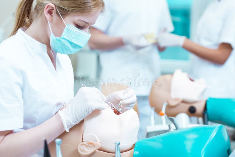 Dental procedure on dummy stock image. Image of gloves 79161107
