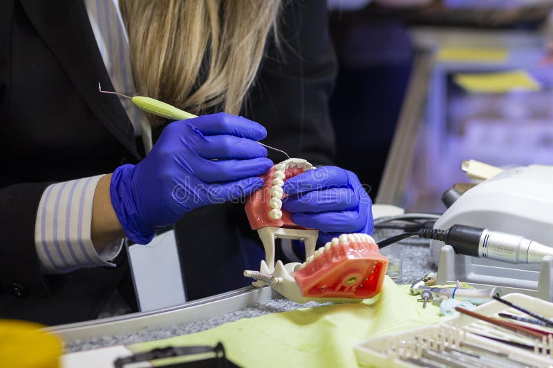 Dental Technician or Prosthesis Worker Stock Image Image of people