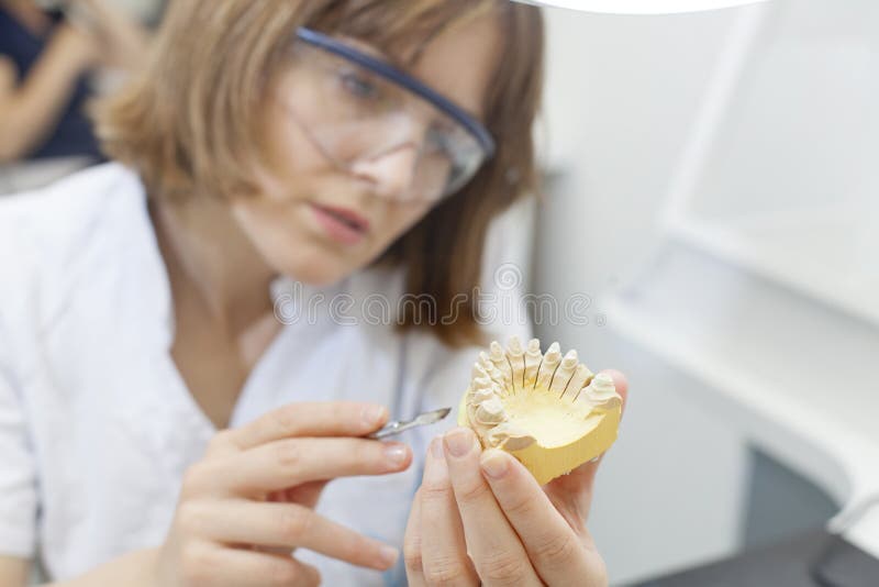Dental Technician Shaping a Prosthesis Stock Photo Image of crown