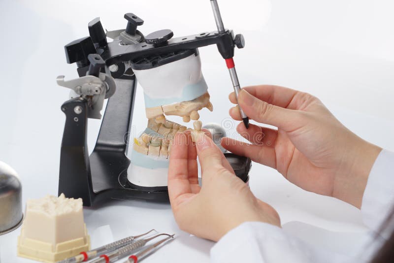 Dental Technician Working with Articulator in Dental Laboratory Stock