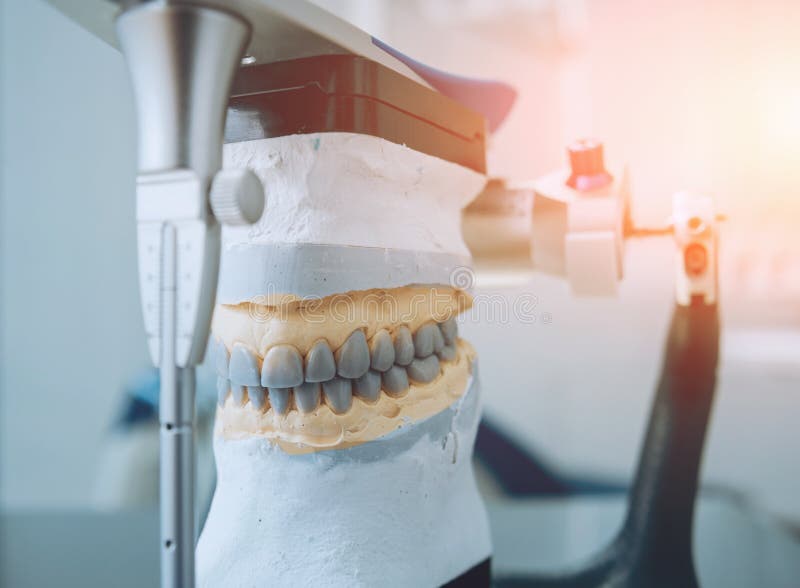 Dental Technician Working with Articulator in Dental Lab Stock Photo