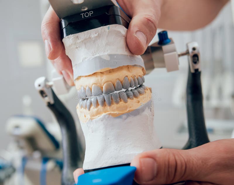 Dental Technician Working with Articulator in Dental Lab Stock Image
