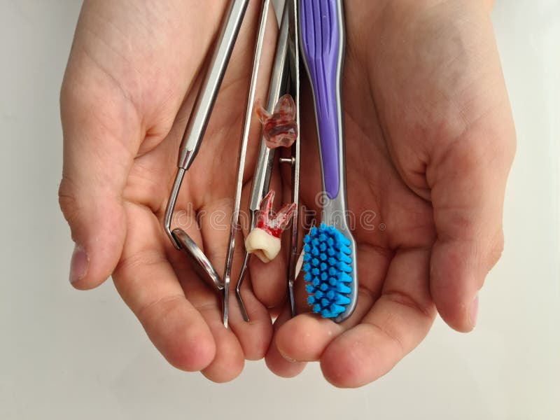 Dental Tools Dental Implants and Toothbrush in Children Hands. Children Dentist Stock Photo