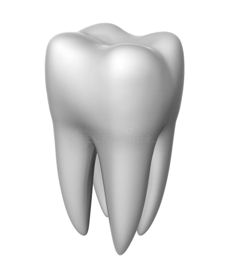 Risultati immagini per dente