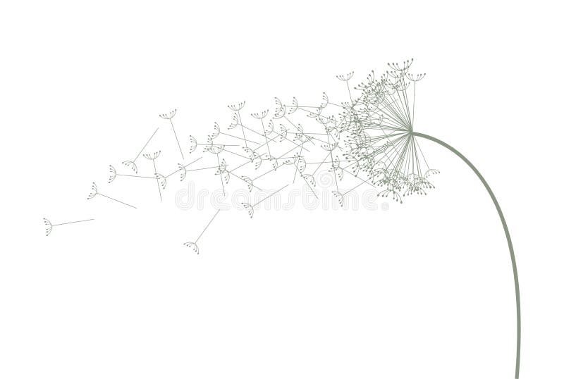 Dente di leone verde e bianco illustrazione vettoriale Dente di leone verde e bianco illustrazione vettoriale