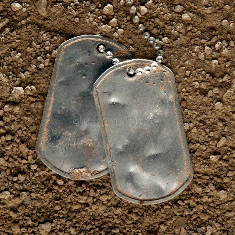 Dog Tags for Fallen Soldiers Stock Photo Image of blank, memorial