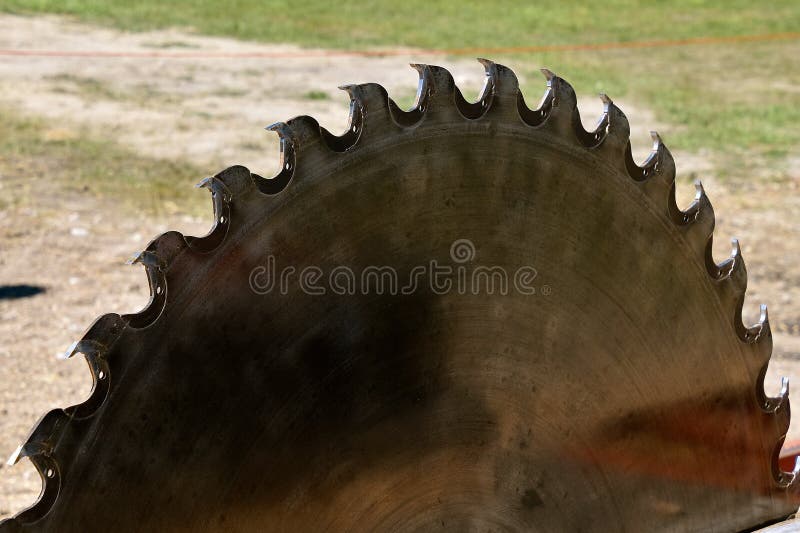 Dentes afiados em uma lâmina de serra enorme para cortar logs fotografia de stock royalty free Dentes afiados em uma lâmina de serra enorme para cortar logs fotografia de stock royalty free