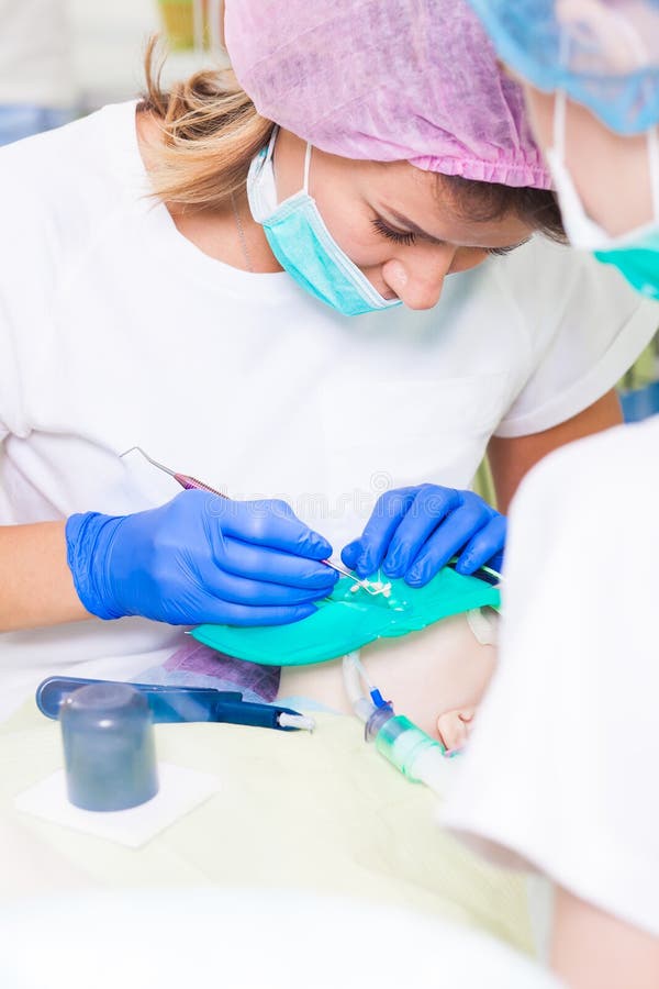Denti dell'ossequio del dentista immagine stock Denti dell'ossequio del dentista immagine stock