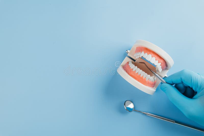 Dentist Day features a dentist gloved hand holding a probe and mirror to check a tooth model. Dentist Day, a dentist hand in gloves checks a tooth model using a probe and mirror. Recognizing dentists, oral health, and dentistry practice worldwide. copy space, top view