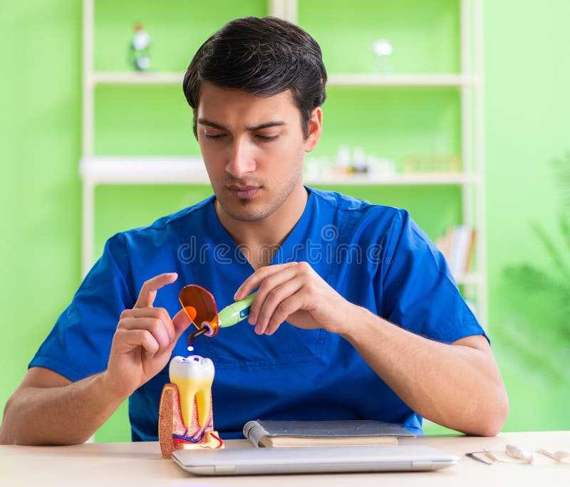 Dentist Doctor Working in the Clinic Stock Image Image of checkup, cavity 235645313