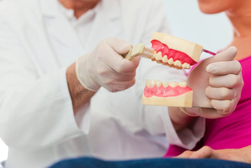 Dentist Explaining Teeth Brushing To Patient Stock Image Image of