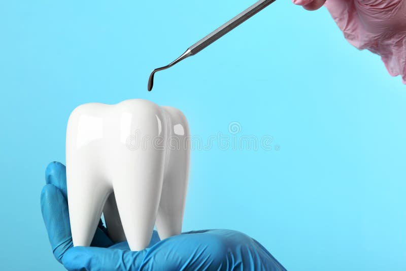 Dentist holding ceramic model of tooth and professional tool on color background royalty free stock photos
