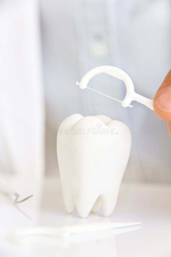Dentist Holding Dental Floss With Molar Picture. Image 30189728
