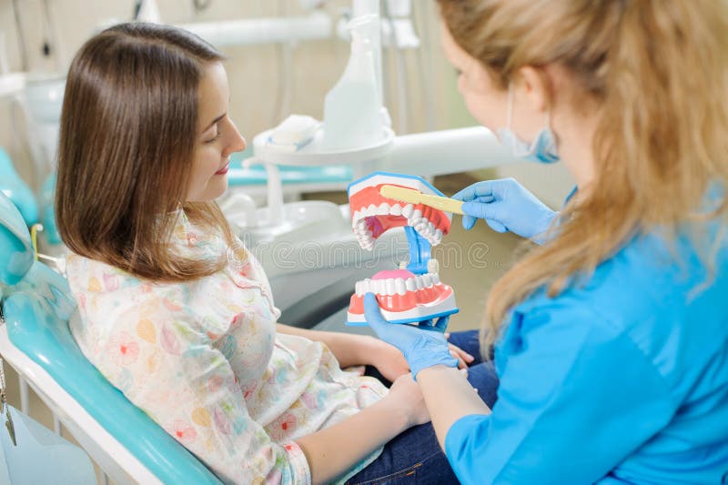 Dentist showing dental jaw model to patient in dentist& x27;s clinic stock image Dentist showing dental jaw model to patient in dentist& x27;s clinic stock image