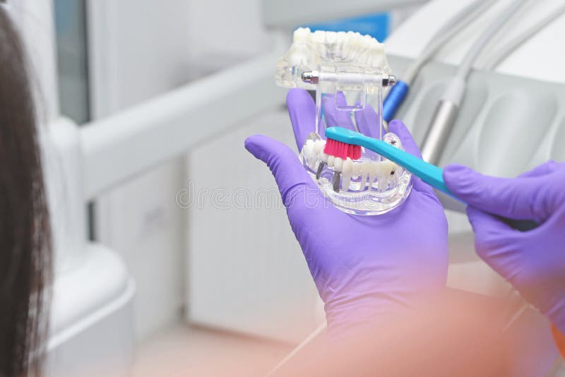 Dentist Showing a Patient Correct Way To Clean Teeth Stock Image
