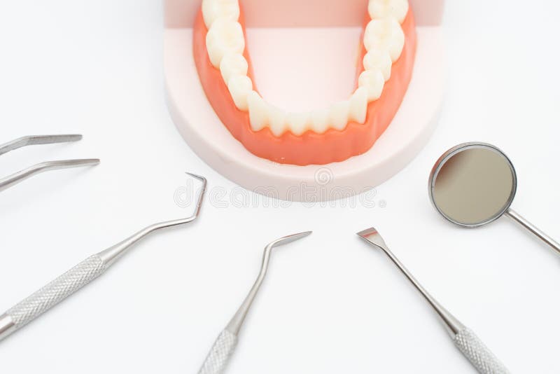 Dentist Tool Care Set and Tooth Model on White Stock Photo Image of