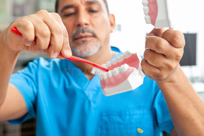 Dentist Using a Dental Model To Show the Correct Way To Brush Your
