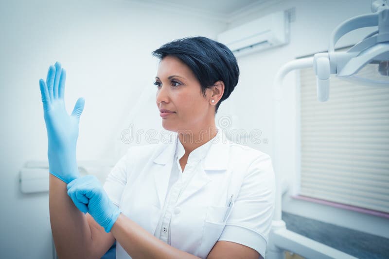 Dentist Wearing Surgical Glove Stock Image Image of dental