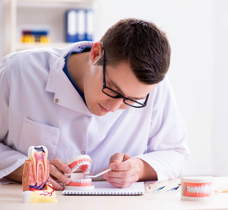 Dentist Working Teeth Implant in Medical Lab Stock Image Image of