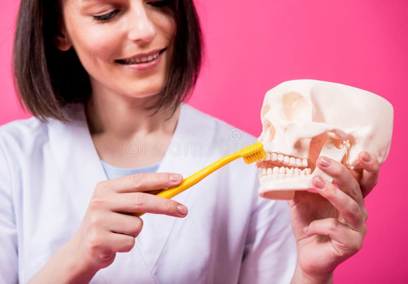 Dentista Feminino Escovando Dentes De Crânio Artificial Usando Uma única  Escova De Dentes Tufada Foto de Stock - Imagem de doutor, bonito: 225327612