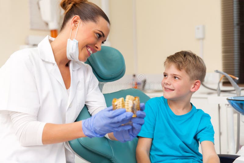 Dentista que explica o modelo dos dentes fotos de stock