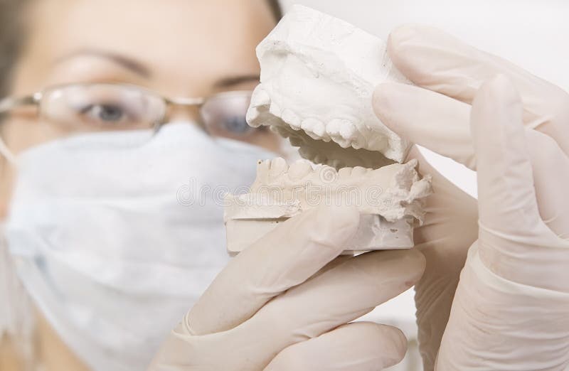 Dentista que guarda o modelo da dentadura, correção da mordida foto de stock Dentista que guarda o modelo da dentadura, correção da mordida foto de stock