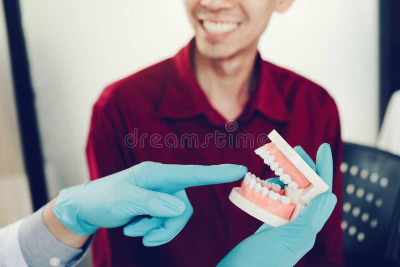 Dentists are Discussing Dental Treatment for Patients. Stock Photo