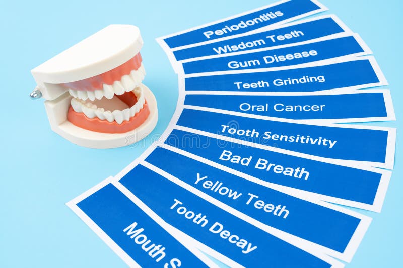 The Dentures Model with Dental Disease on Blue Background Stock Photo