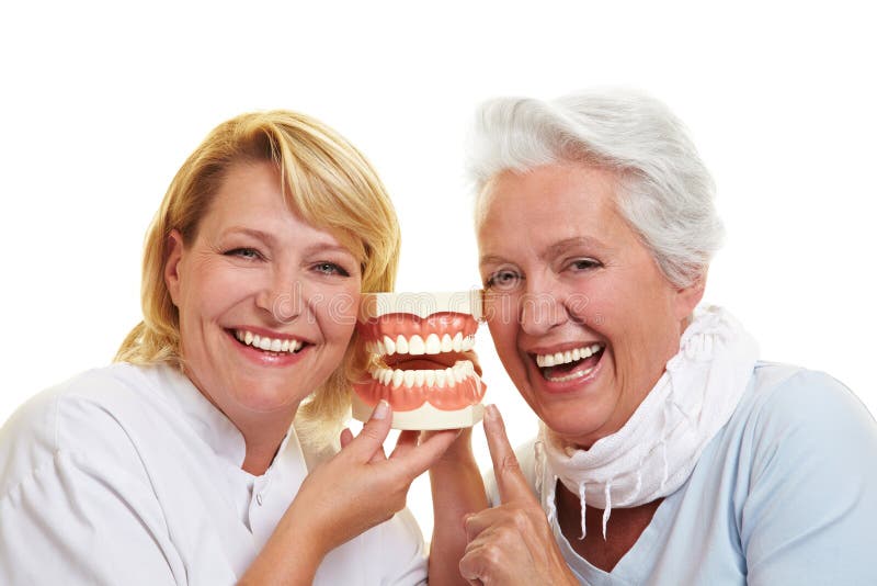 Smiling dentist and senior women with a teeth model. Smiling dentist and senior women with a teeth model