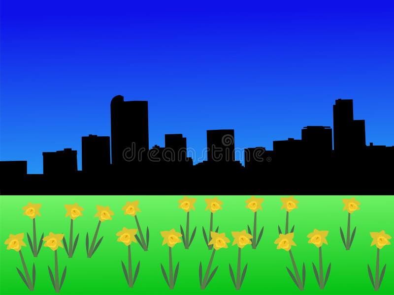 Denver skyline in spring with daffodils. Denver skyline in spring with daffodils