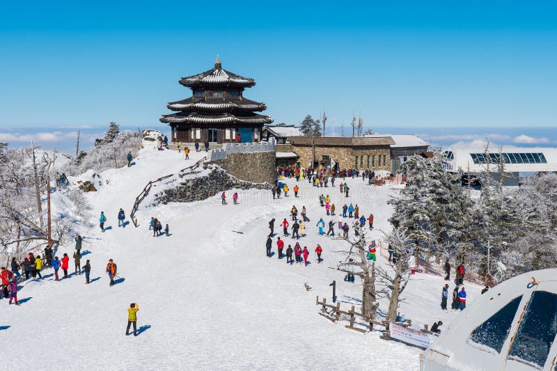 DEOGYUSAN,KOREA - JANUARY 23: Tourists taking photos of the beautiful scenery and skiing around Deogyusan,South Korea on January 23, 2015. DEOGYUSAN,KOREA - JANUARY 23: Tourists taking photos of the beautiful scenery and skiing around Deogyusan,South Korea on January 23, 2015.