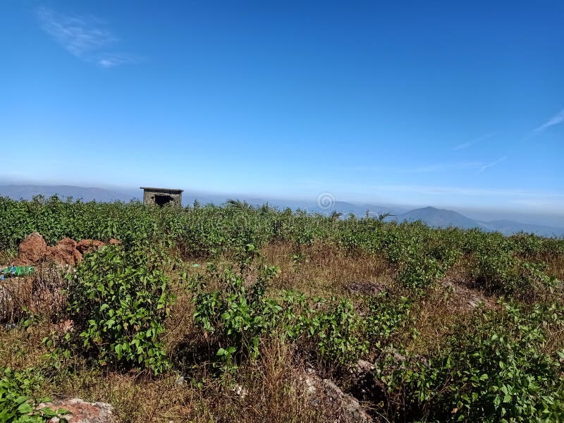 Deomali The Highest Hills In Odisha Stock Photo Image Of Odisha Deomali The Highest Hills In Odisha Stock Photo Image Of Odisha