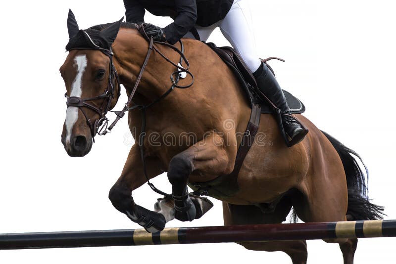 Show Jumping Event Horseman on a obstacle course. Horse jumping themed photograph. Show Jumping Event Horseman on a obstacle course. Horse jumping themed photograph.