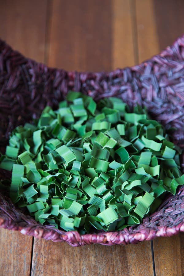 Depth of Field Aroma Green Leaf in Spa Stock Image Image of