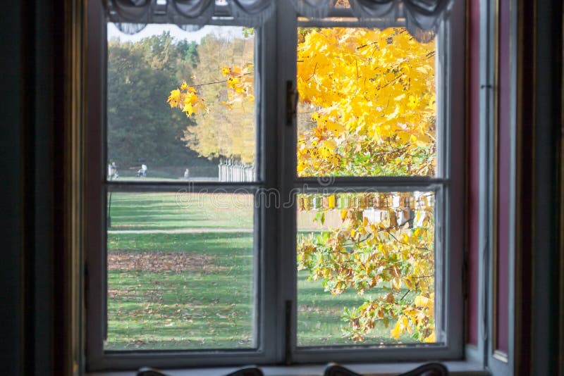 Der alte Ahornbaum hinter dem Fenster in der Herbstsaison stockfotografie Der alte Ahornbaum hinter dem Fenster in der Herbstsaison stockfotografie