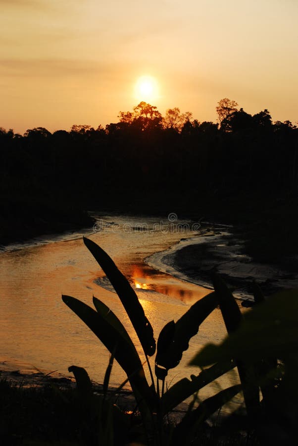 Der Amazonas-Sonnenuntergang lizenzfreie stockbilder Der Amazonas-Sonnenuntergang lizenzfreie stockbilder