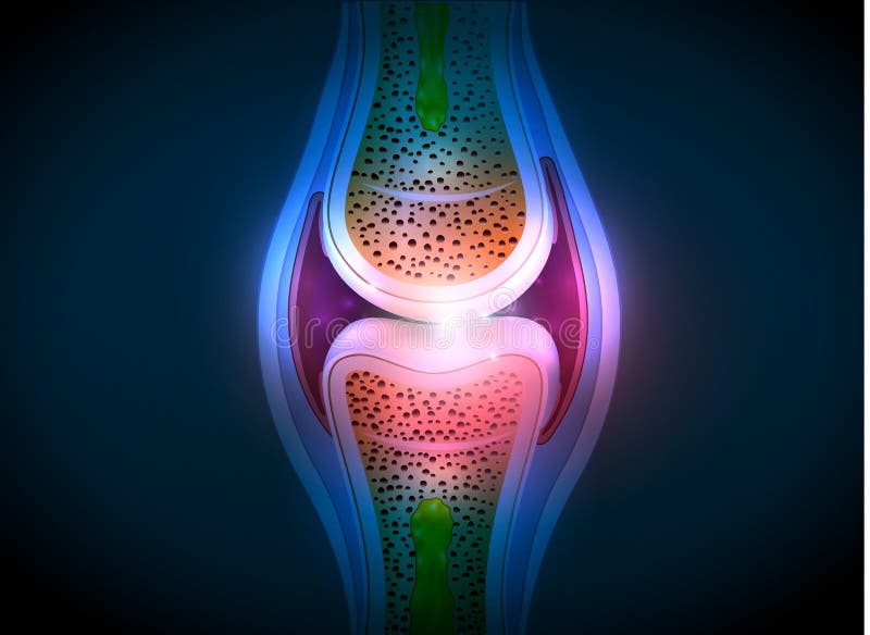 Der Anatomiezusammenfassung des Synovial Gelenkes helles Design stock abbildung Der Anatomiezusammenfassung des Synovial Gelenkes helles Design stock abbildung